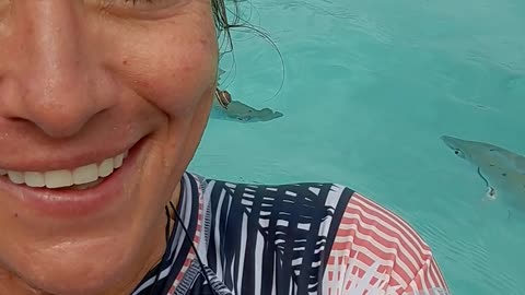 2022 Compass Cay Bahamas Swimming with sharks