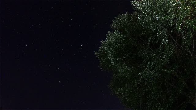 Night Sky... What do you See?