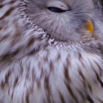 If you seek wisdom in life...