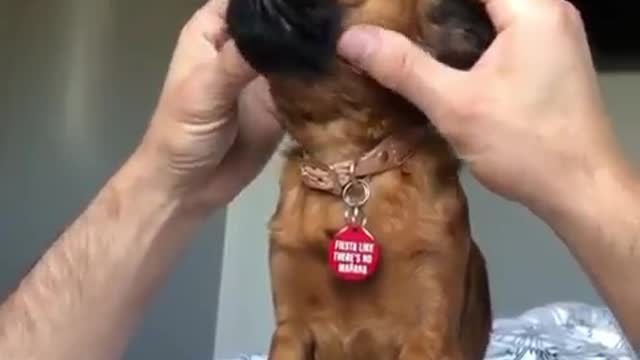 The massage we all need each morning before starting our work