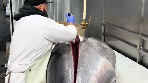 Cleaning fish