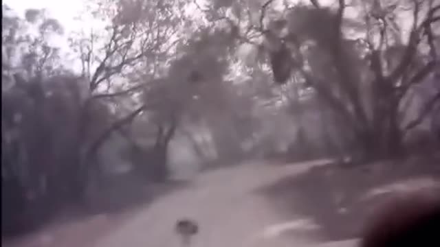 Cars With Skeletons Burned in CA Wildfire - Directed Energy Weapon
