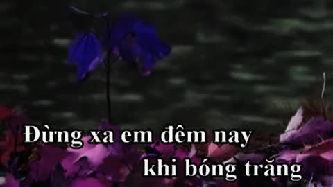 Dung xa em dem nay - karaoke