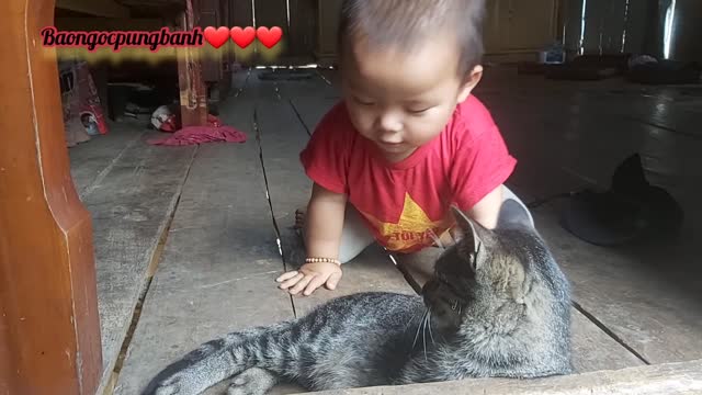 nephew and cat play together