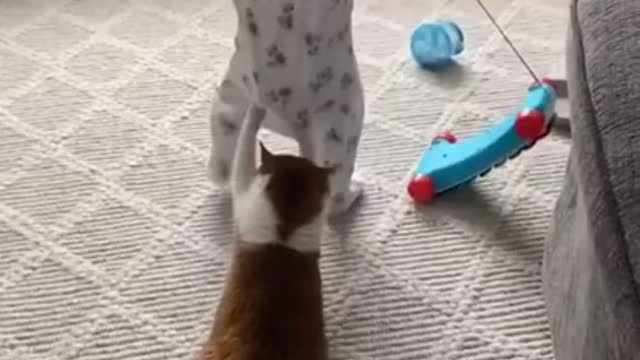 Funny Cat and Baby Videos - Very Cute Kitty