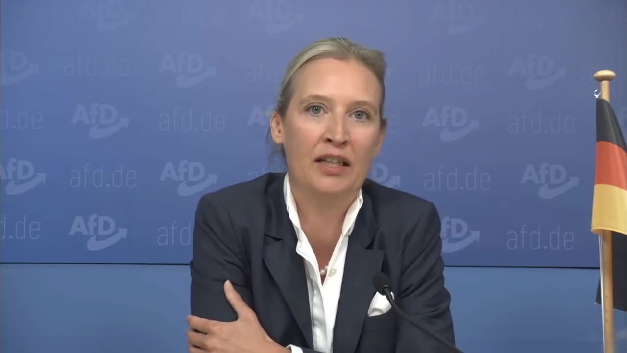 ALICE WEIDEL ZERPFLÜCKT DAS ZDF