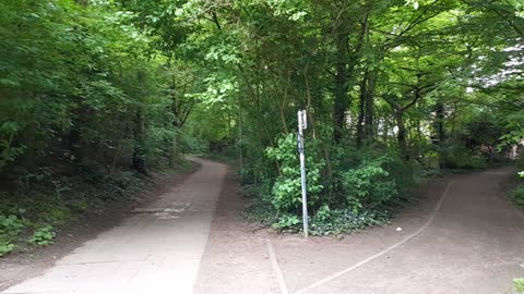 AMAZING Green Woods in Hamburg ☺