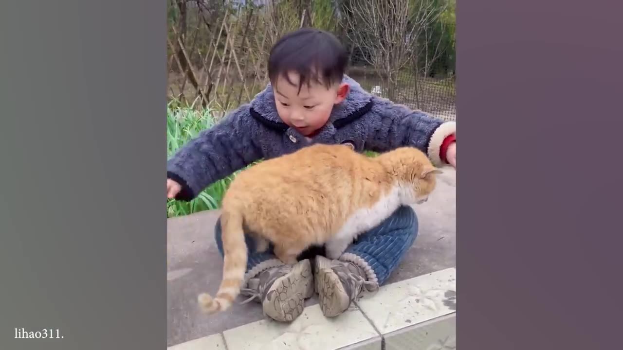 When your cat is the best babysitter Cute cats and little human