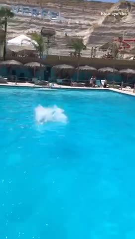 Going down slide with mexican flag bellyflop