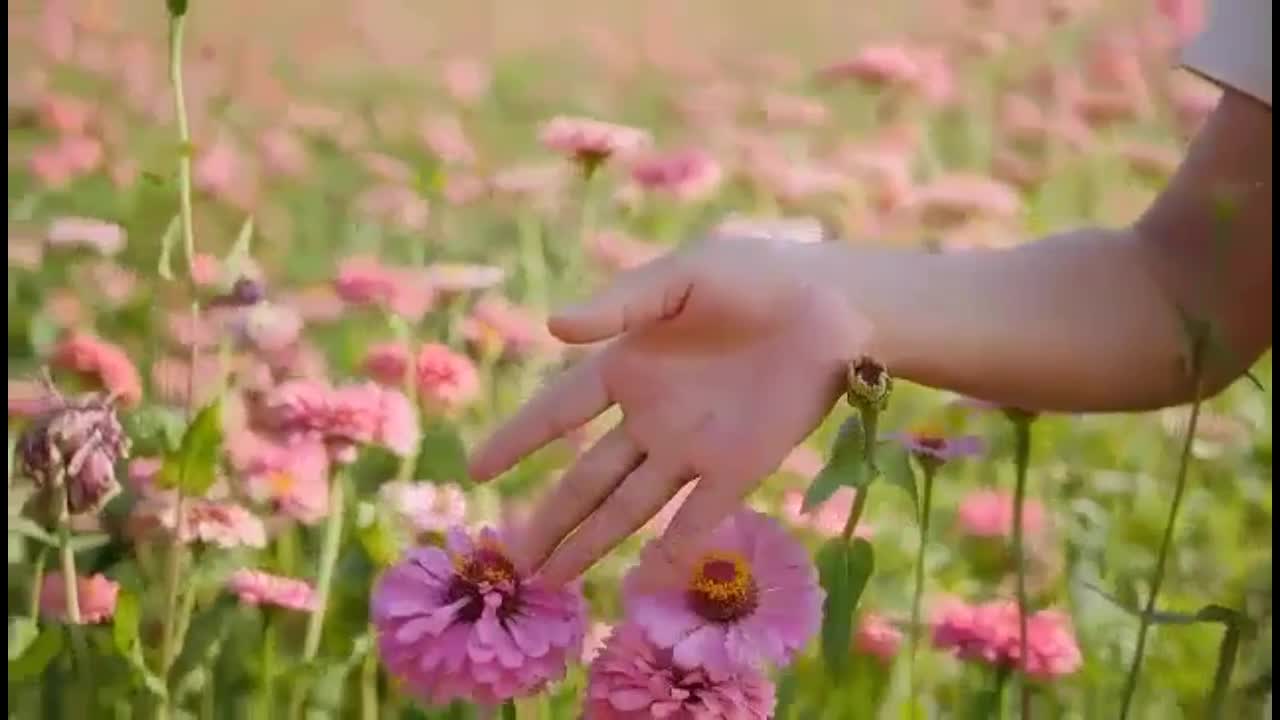 The girl and the beautiful flowers