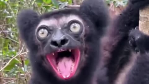 When your friend says she's not drunk 🤪at all !