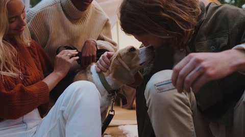 A Group of Campers with a Cute Dog
