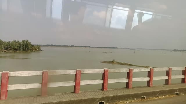 A Bangladeshi Rural Lake Named Cholon Bill.
