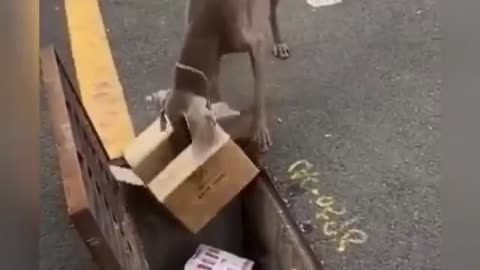 Handsome, | well done, smart!