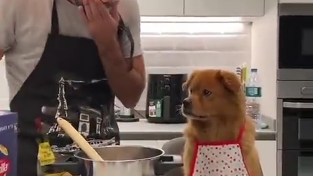 Chef Assistant Ain't Having It