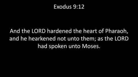 KJV Bible Exodus Chapter 9