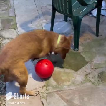 This Makes Him So Mad