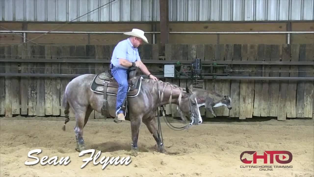 How To Work A Cutting Horse On The Flag Or Machine - Sean Flynn