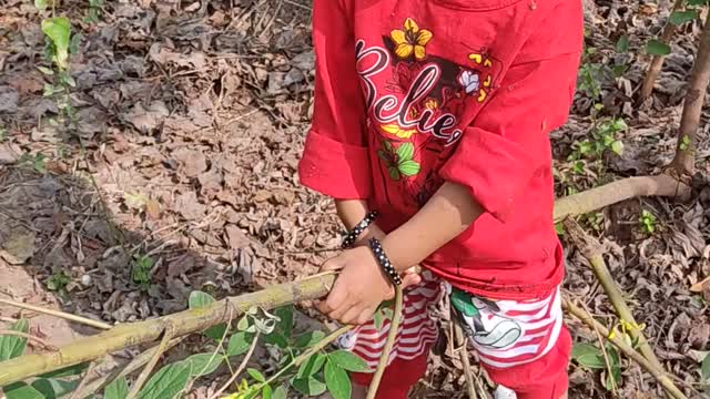 Baby girl playing in farm indian