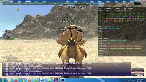 S Gustaberg - NPC[Goblin Rider] Misc Pathing