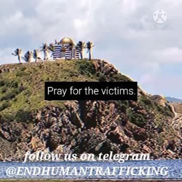 Epstein Island Starter Pack