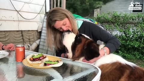 130-Pound Dog Gets His First Home Ever | The Dodo Adoption Day