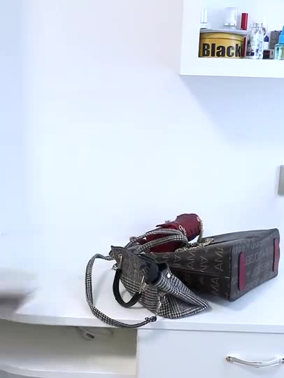 Six-layer Bag Organizer Hanging Storage