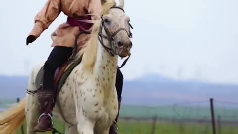 horse racing girl