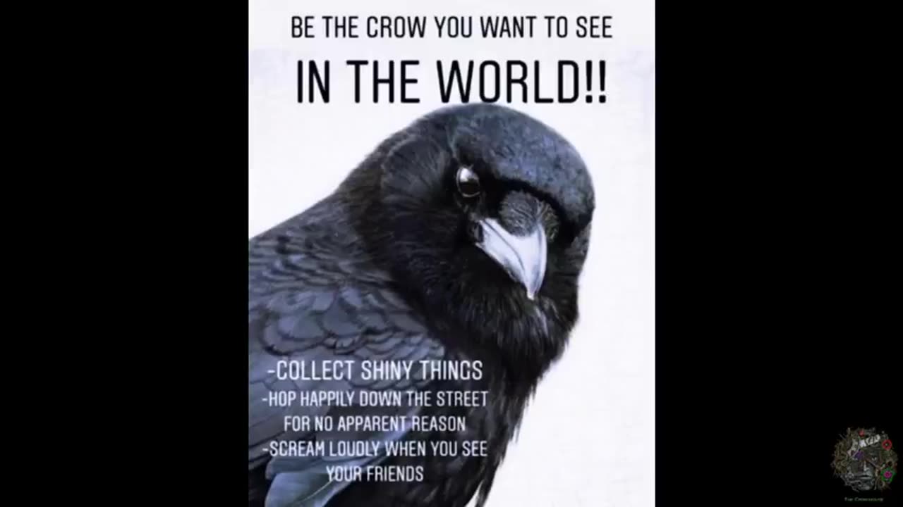 MAX IGAN " THE CROW HOUSE " CHILDREN ARE BEING HARVESTED NOT FOR THE FIRST TIME