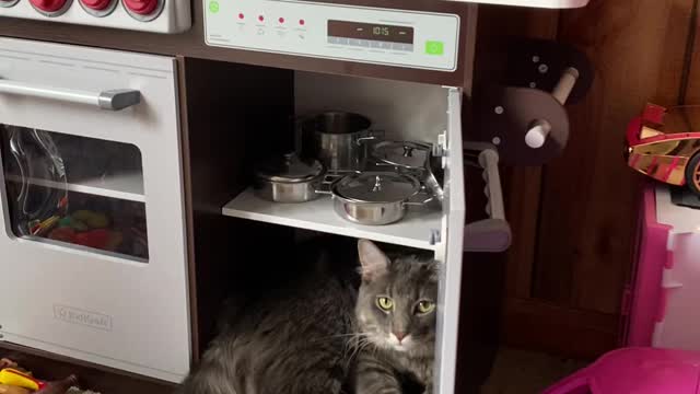 Cat takes over kids kitchen set