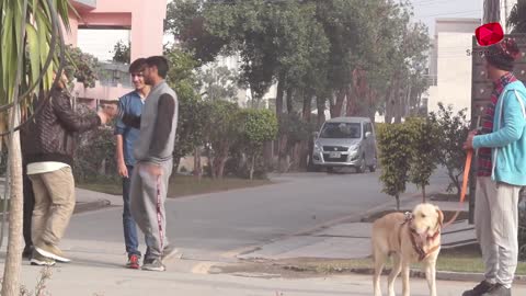 Real Dog Bark Prank