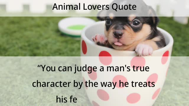 Animal Lovers Quote | Animal Lovers Thoughts ❤️