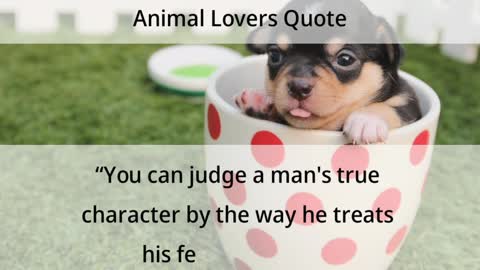 Animal Lovers Quote | Animal Lovers Thoughts ❤️