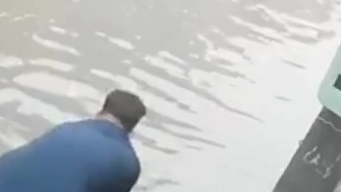 Cow felt current in water