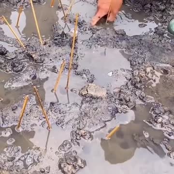 Amazing Rural Fishing Video 🐟