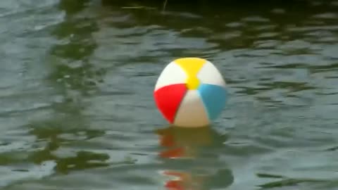 Beach balls used to "scare" Oregon sea lions