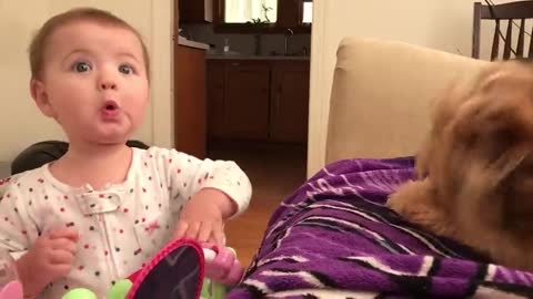 Cute Babies Playing With Dogs