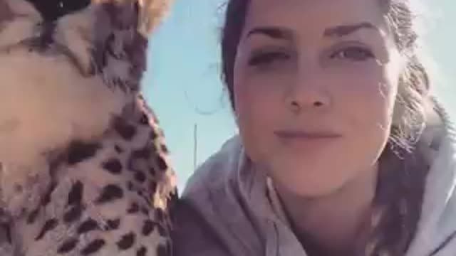Cheetah cuddles