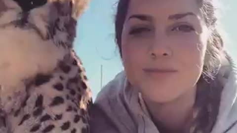 Cheetah cuddles