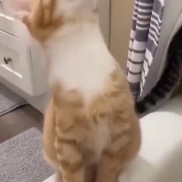 Is there something above my head.