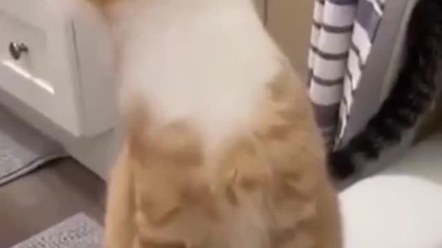 Is there something above my head.