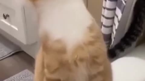 Is there something above my head.