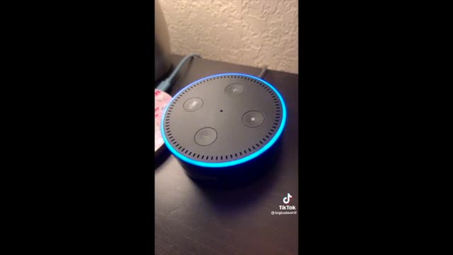 Alexa Is A Nasty One
