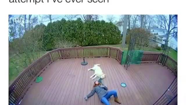 Funniest Attack by Doggo 😂🤣