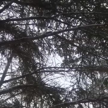 Tofield Bird Santuary