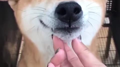Heaven Touch