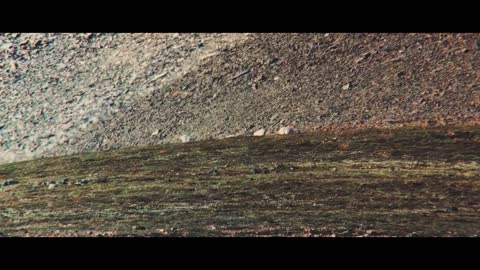 Dall Sheep Hunting with Kristy Titus!