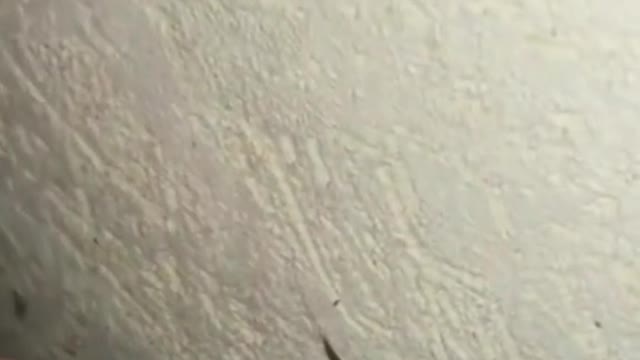 a frog do bad... 😭😭😭
