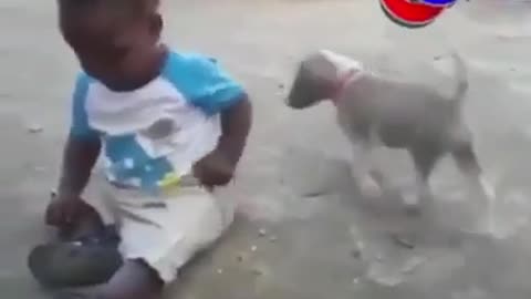 Puppy and baby bite each other