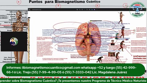 El Enfrentamiento Definitivo: la Biología Cuántica fotonica Vs La Biología Sintética de Oscuridad